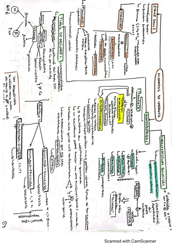 Miniatura del documento HIDRATOS-DE-CARBONOB.E.pdf