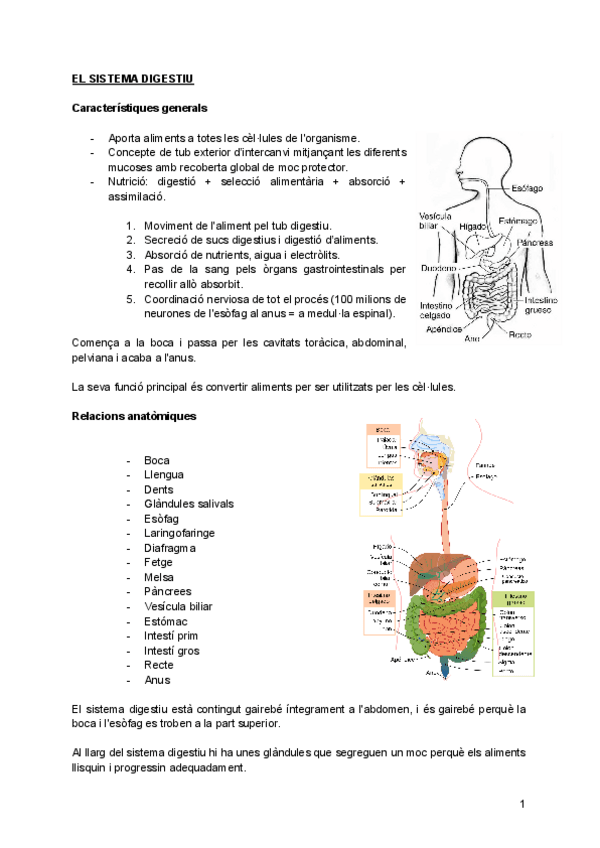 Miniatura del documento APARELL-DIGESTIU.pdf