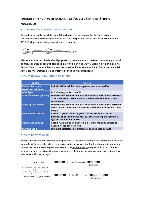 Miniatura del documento Unidad-2-Genetica-molecular.pdf