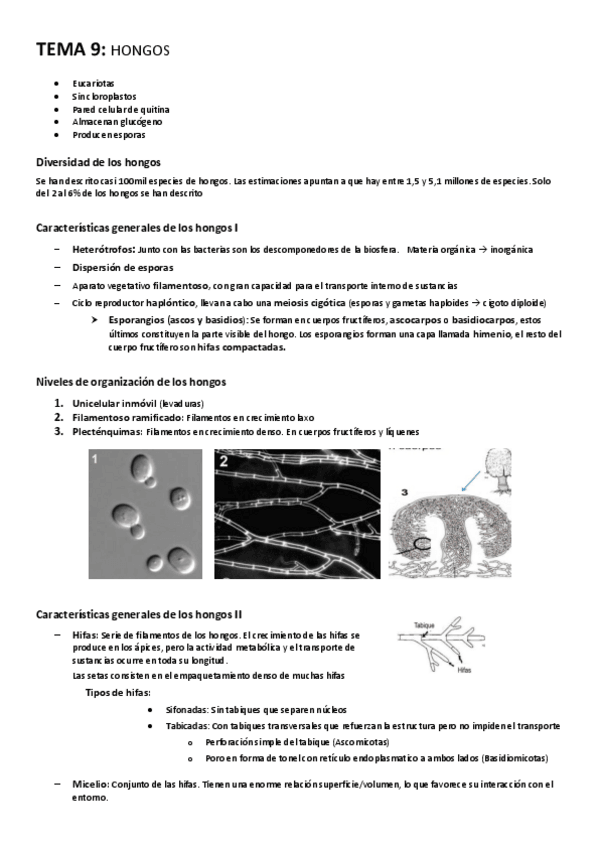 Miniatura del documento TEMA-9-Hongos.pdf