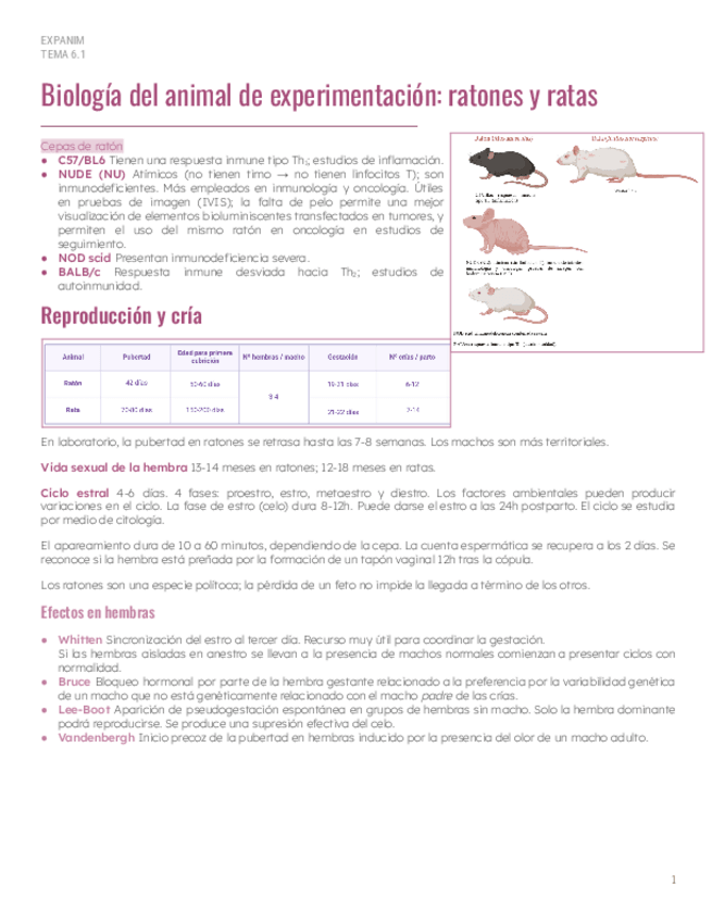 Miniatura del documento Tema-6.1-Biologia-ratones-y-ratas.pdf