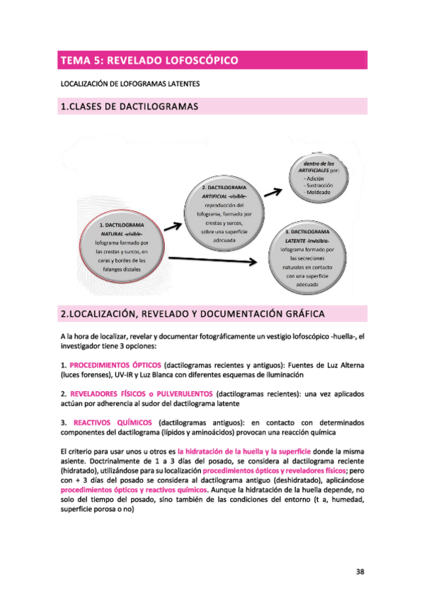 Miniatura del documento TEMA-5.pdf