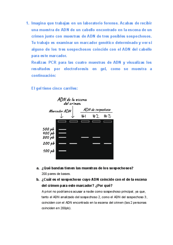 Miniatura del documento Problemas-Electroforesis.pdf
