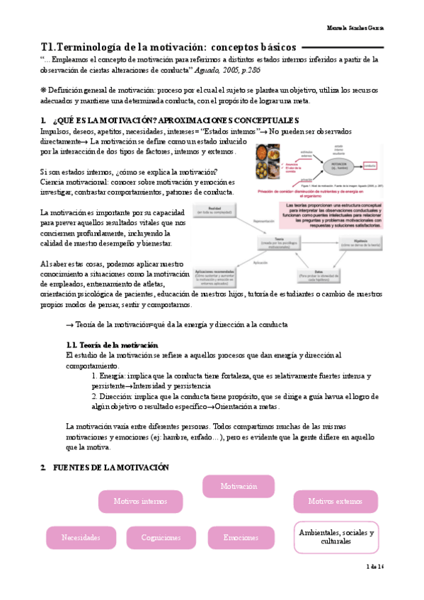 Miniatura del documento Apuntes-de-Motivacion-y-emocion-T1.pdf