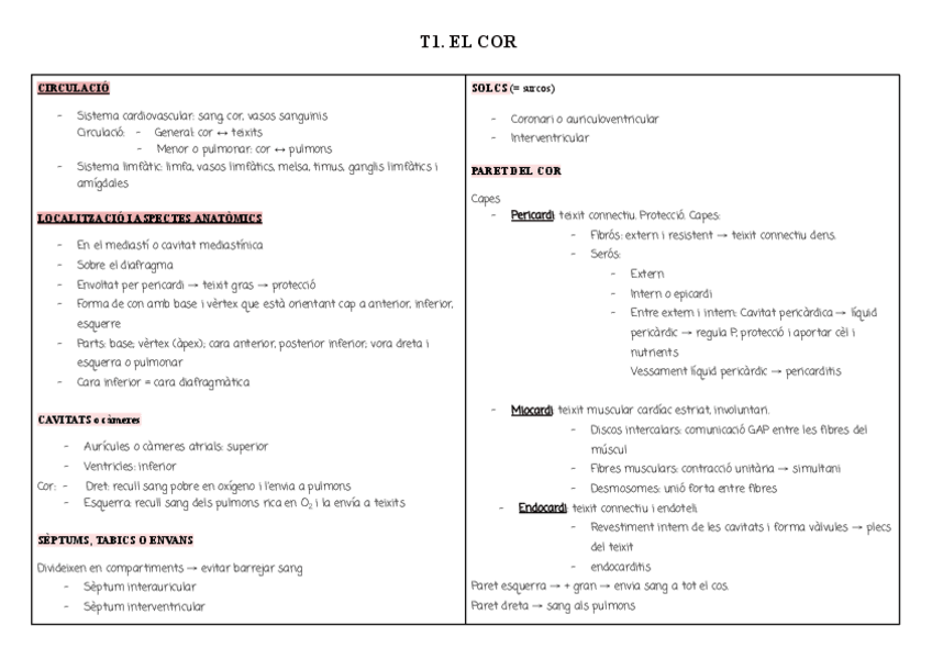 Miniatura del documento Resumen T1,2,3.pdf