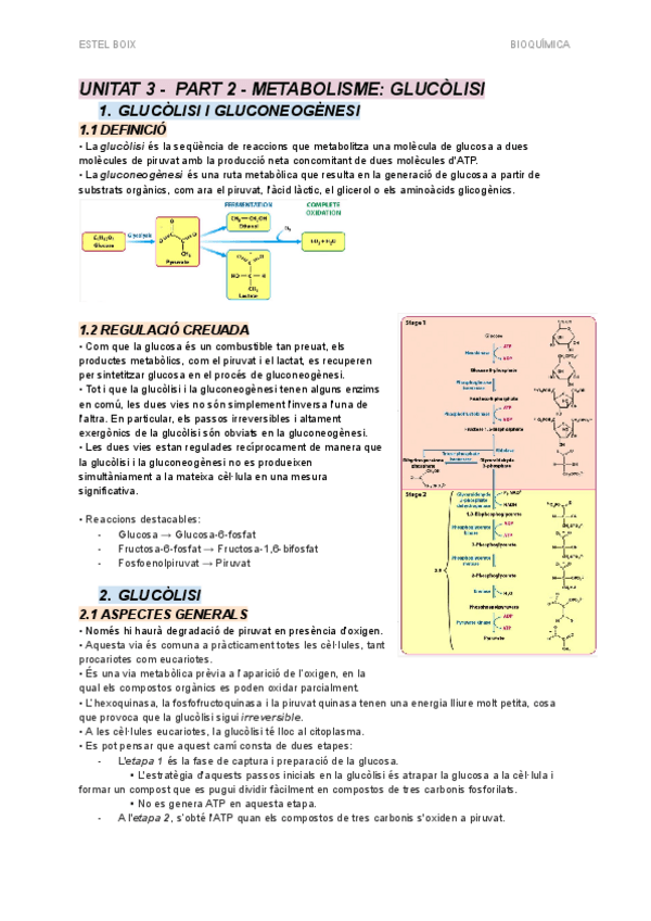 Miniatura del documento UNITAT 3 - PART 2 - Metabolisme - Glicòlisi.pdf