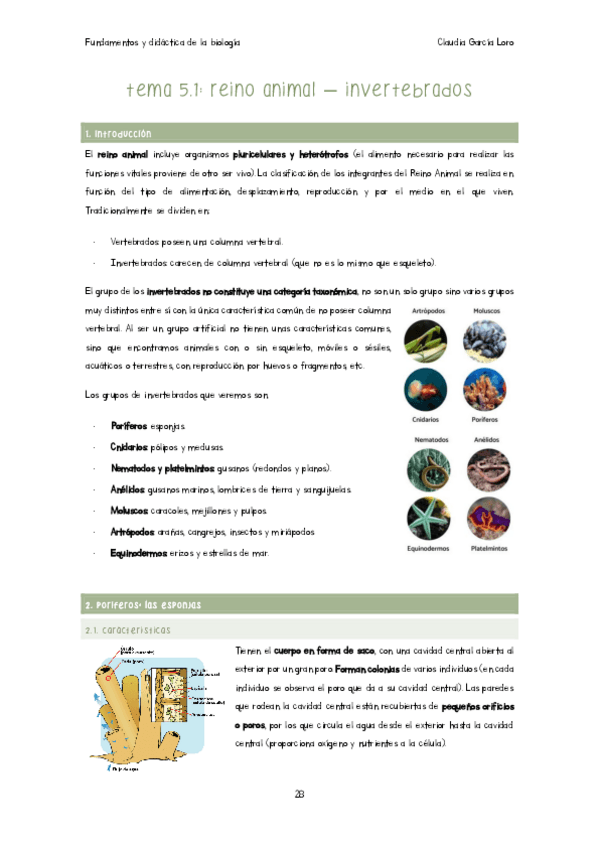 Miniatura del documento APUNTESBIOLOGIA-TEMA-5.1-INVERTEBRADOS.pdf
