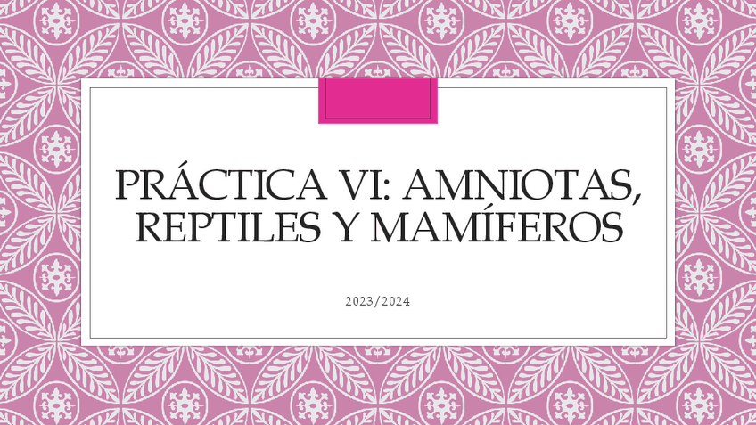 Miniatura del documento visu-reptiles-aves-y-mamiferos.pdf