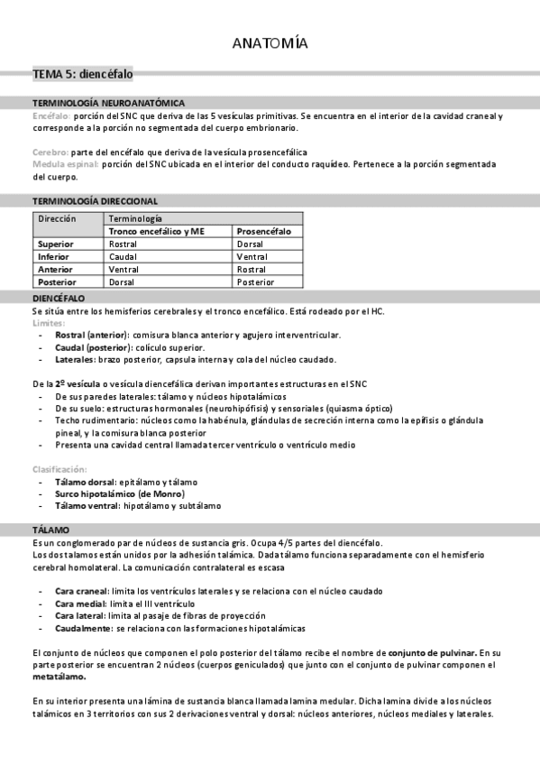 Miniatura del documento tema-5-diencefalo.pdf