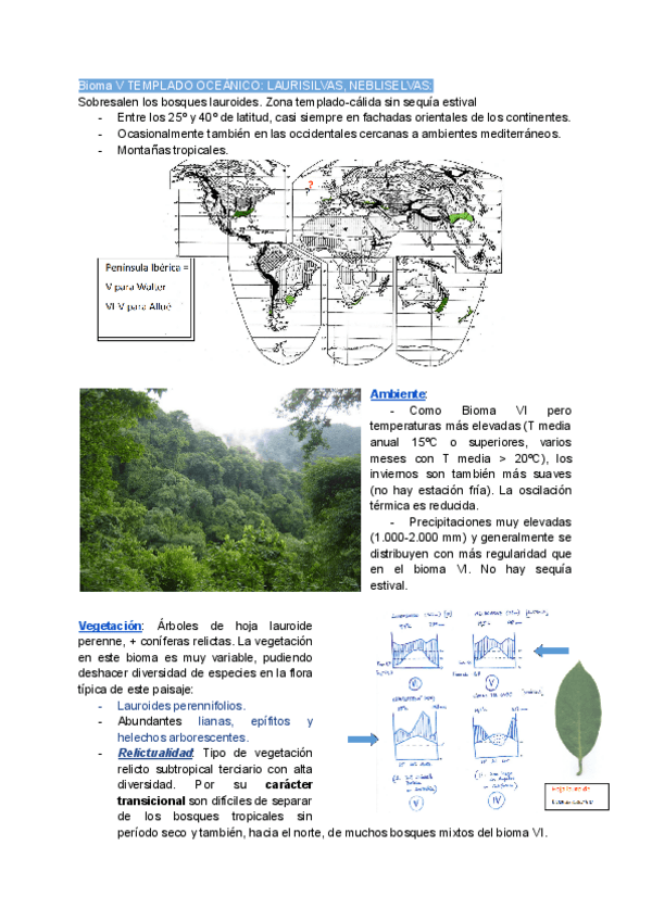 Miniatura del documento BIOMA-V.pdf