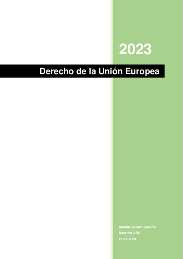 Miniatura del documento Derecho-de-la-Union-Europea.pdf