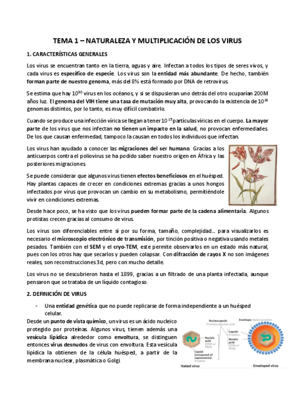 Miniatura del documento TEMA-1-NATURALEZA-Y-MULTIPLICACION-DE-LOS-VIRUS.pdf