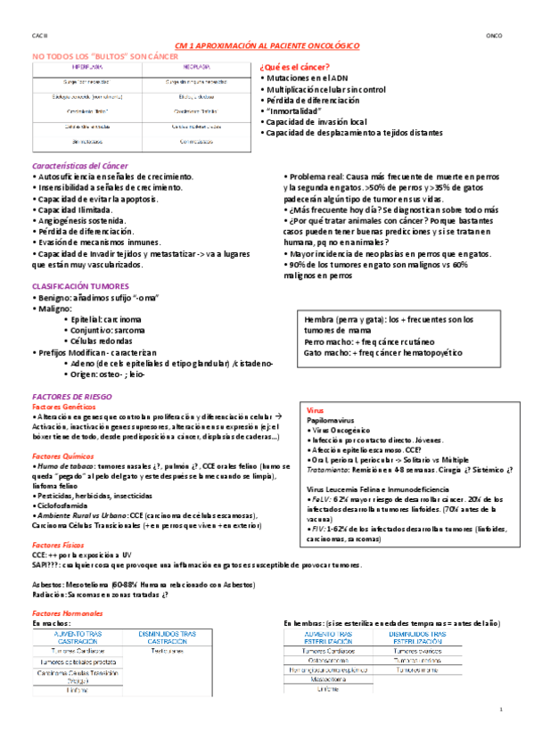 Miniatura del documento APUNTES-CM-ONCO-CAC-II-Modulo-2.pdf