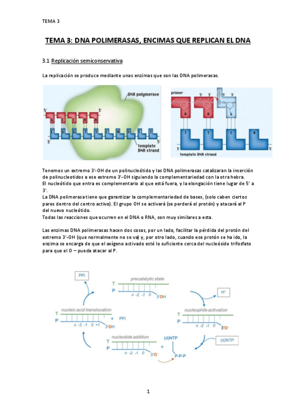 Miniatura del documento TEMA-3.pdf