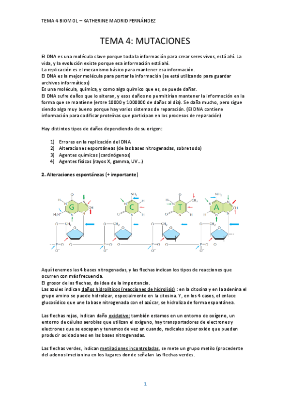 Miniatura del documento TEMA-4.pdf
