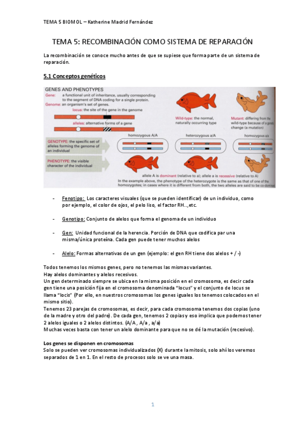 Miniatura del documento TEMA-5.pdf