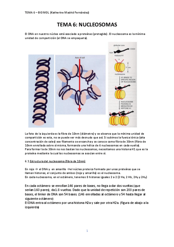 Miniatura del documento TEMA-6.pdf