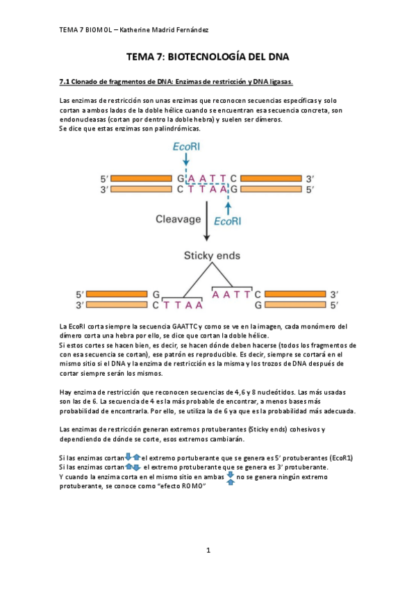 Miniatura del documento TEMA-7.pdf