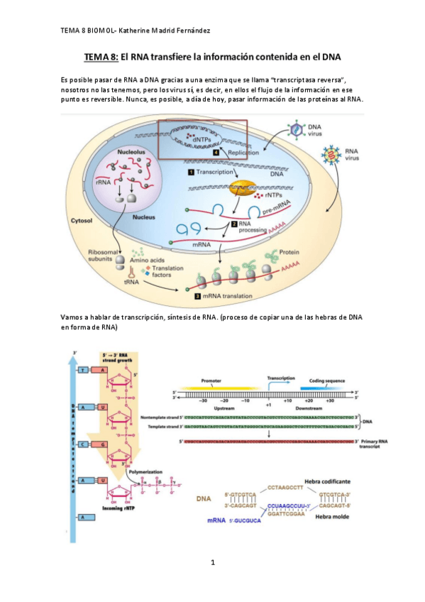 Miniatura del documento TEMA-8.pdf