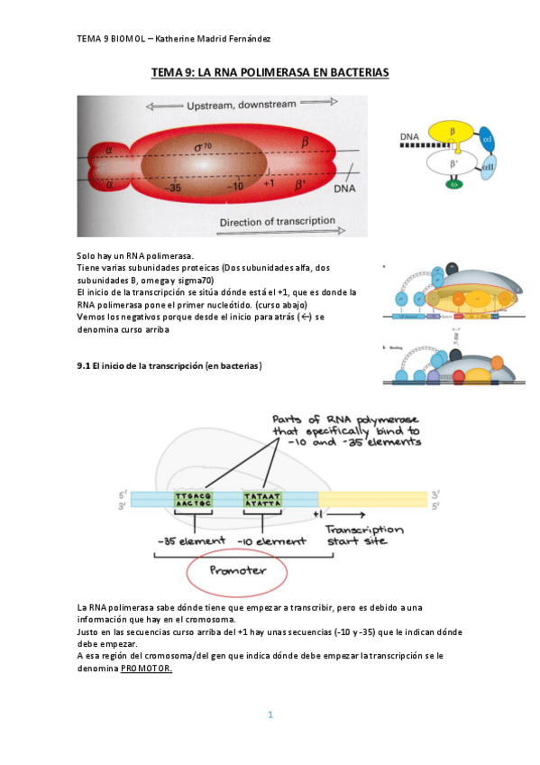 Miniatura del documento TEMA-9.pdf