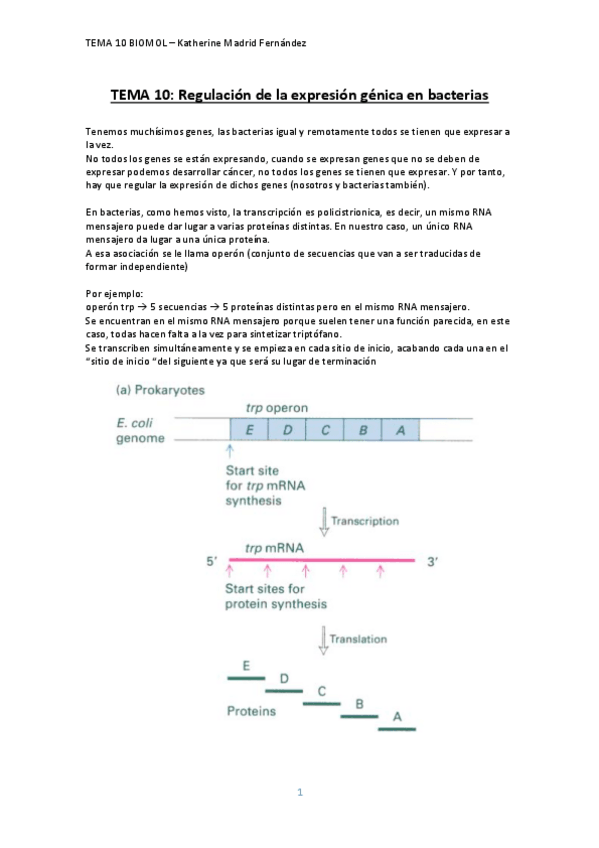 Miniatura del documento TEMA-10.pdf