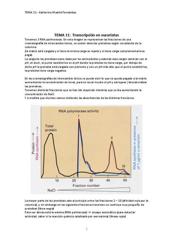 Miniatura del documento TEMA-11.pdf