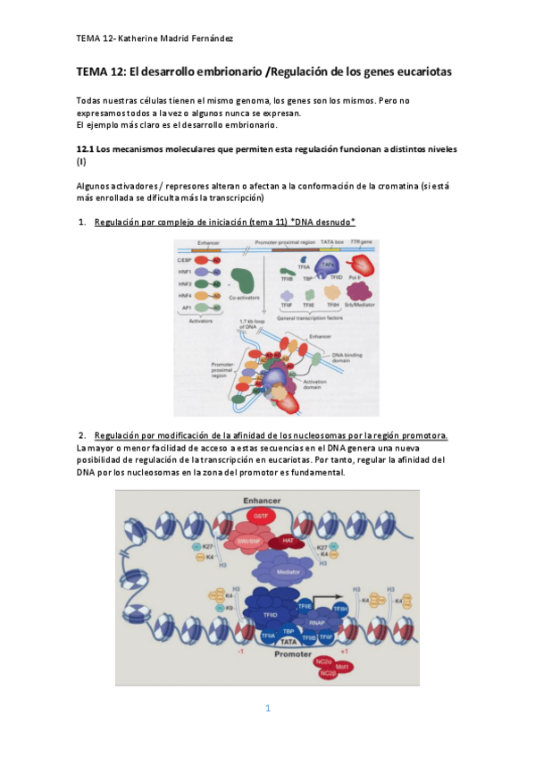 Miniatura del documento tema-12.pdf