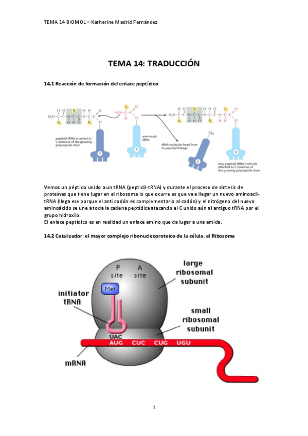 Miniatura del documento TEMA-14.pdf