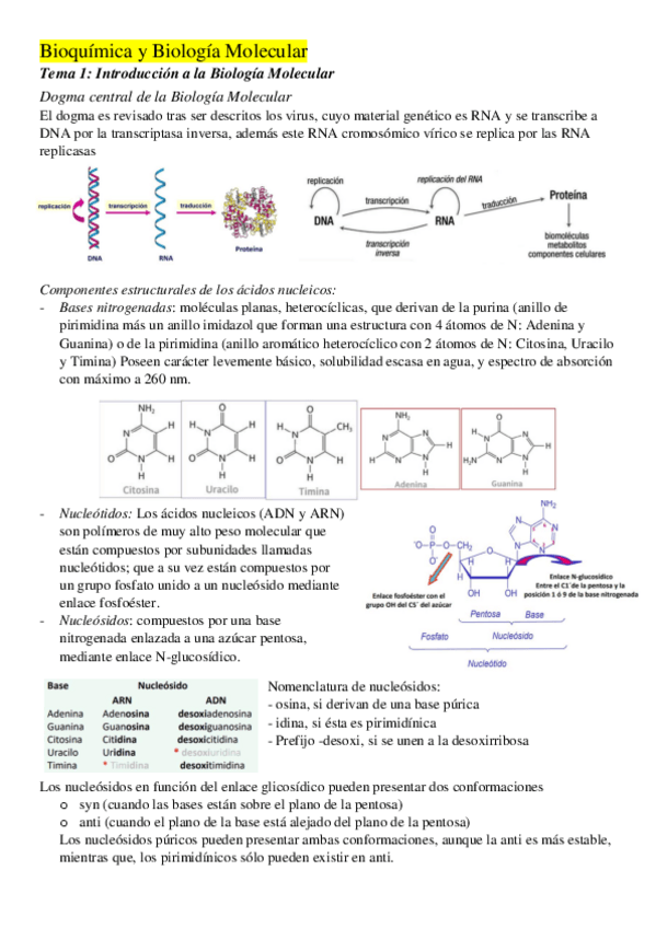 Miniatura del documento Apuntes-Bioquimica-I.pdf