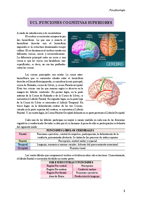 Miniatura del documento PSICOFISIOLOGIA-UC1.pdf
