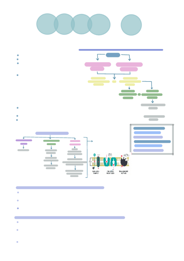 Miniatura del documento tema-2-balance-hidroelectrolitico.pdf