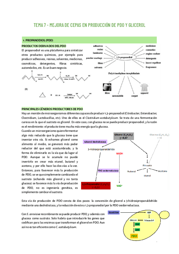 Miniatura del documento TEMA-7-MICRO.pdf