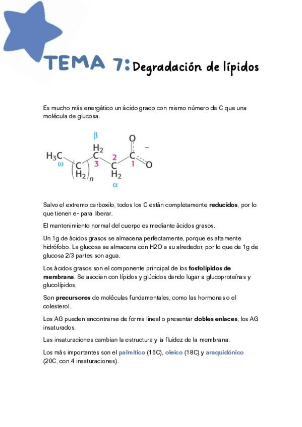 Miniatura del documento Tema-7-Degradacion-lipidos.pdf