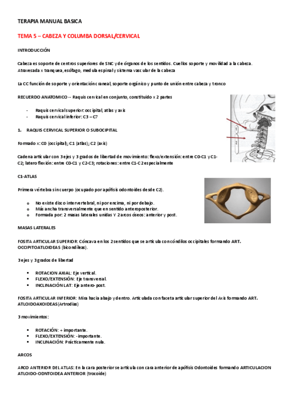 Miniatura del documento TEMA-5-CABEZA-Y-CERVICAL.pdf