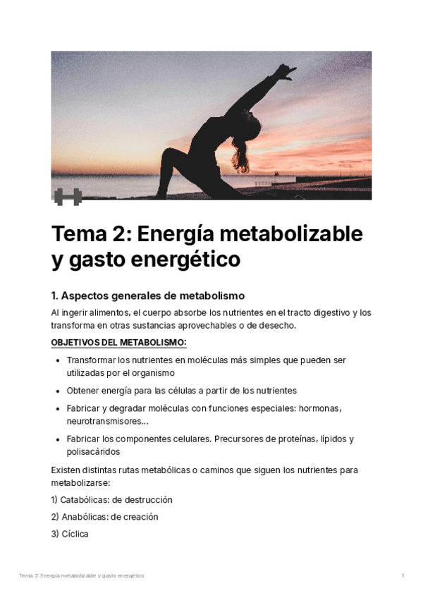Miniatura del documento Tema-2-Energia-metabolizable-y-gasto-energetico.pdf