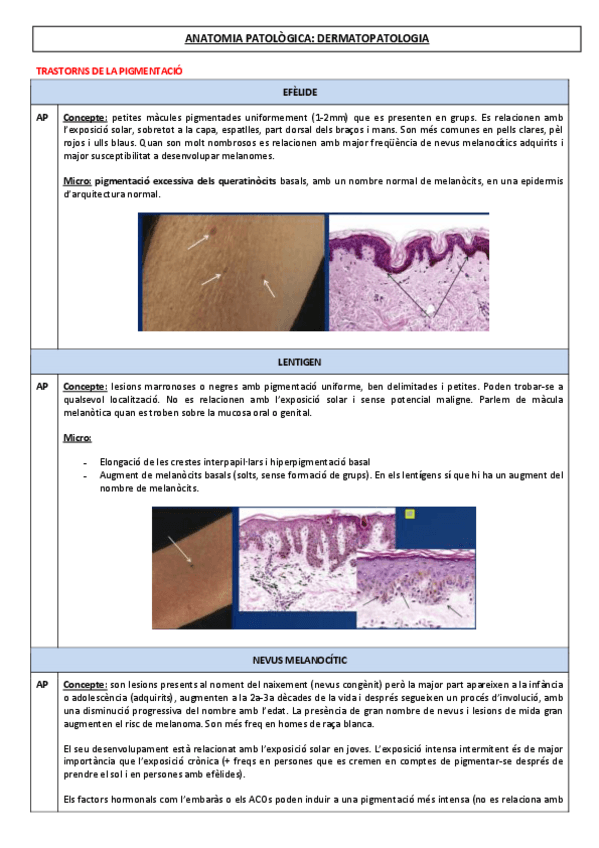Miniatura del documento SEMINARI-1.pdf