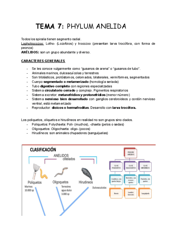 Miniatura del documento TEMA-7-Zoo.pdf