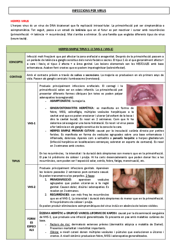 Miniatura del documento 6-INFECCIONS-PER-VIRUS.pdf