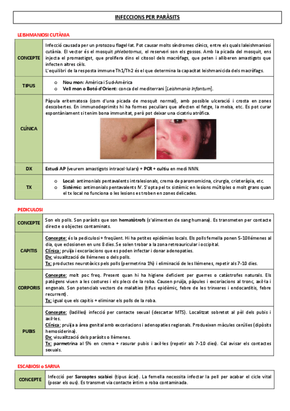 Miniatura del documento 8-INFECCIONS-PER-PARASITS.pdf