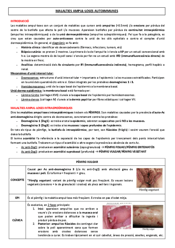 Miniatura del documento 13-AMPULLOSES-I-AI.pdf