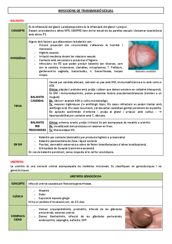 Miniatura del documento 14-ITS.pdf