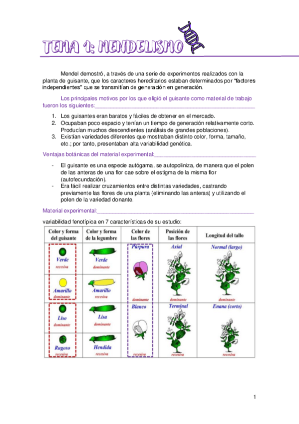 Miniatura del documento TEMARIO-GENETICA.pdf