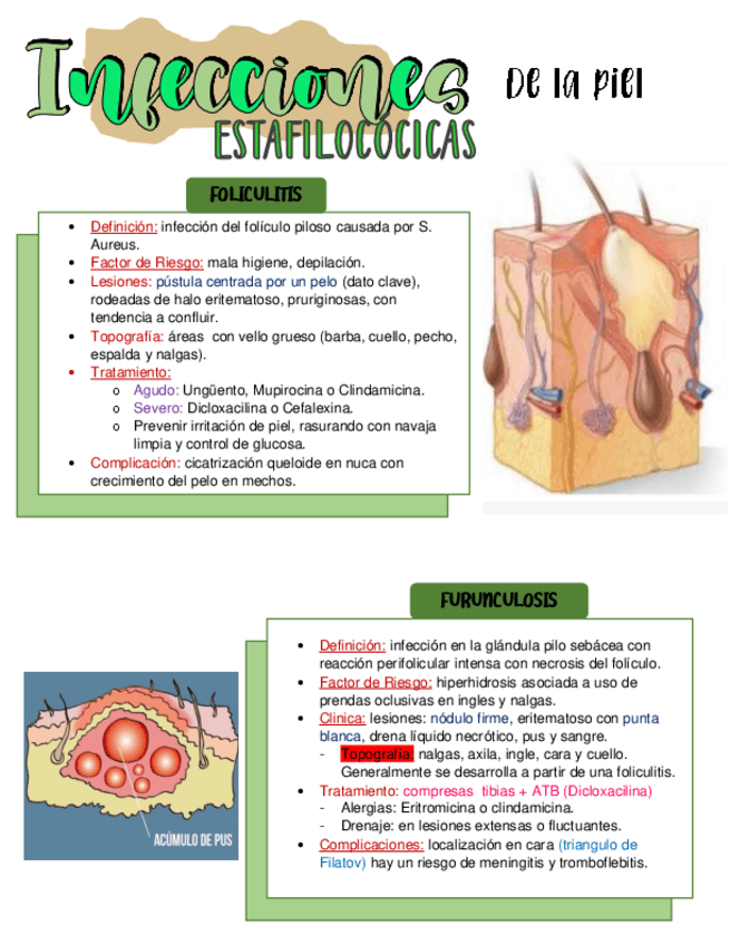 Miniatura del documento Infecciones-Estafilococicas-de-la-piel.pdf