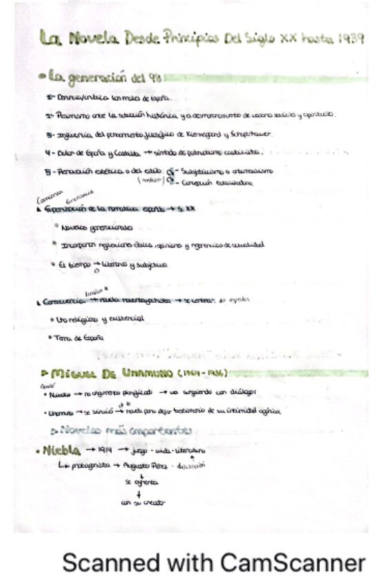 Miniatura del documento La-novela-desde-principios-del-siglo-XX.pdf