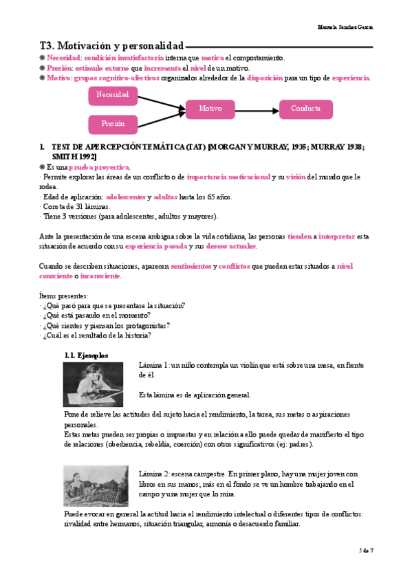 Miniatura del documento Apuntes-de-Personalidad-y-Diferencias-individuales-T3.pdf