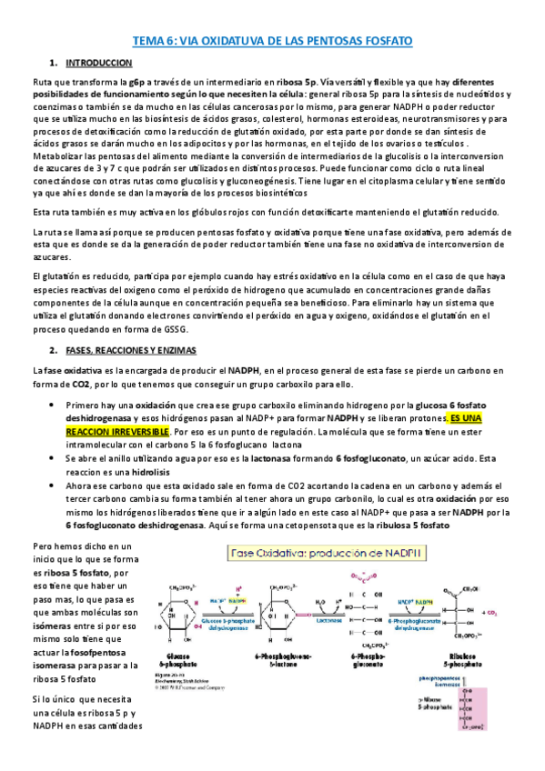 Miniatura del documento TEMA-6.pdf