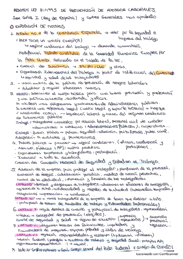 Miniatura del documento resumen-ley-31-1995.pdf