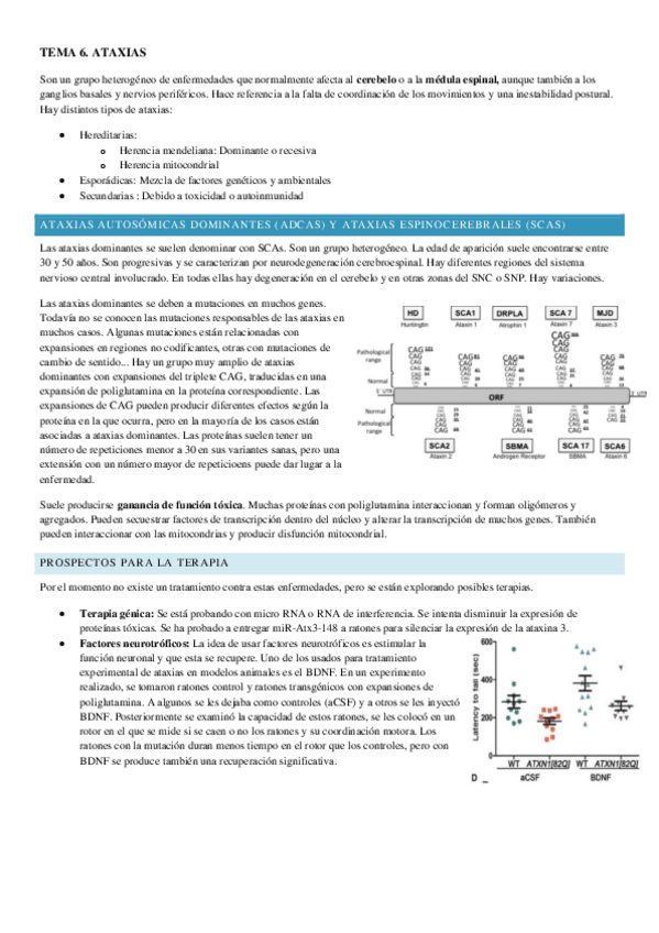 Miniatura del documento TEMA-6.pdf