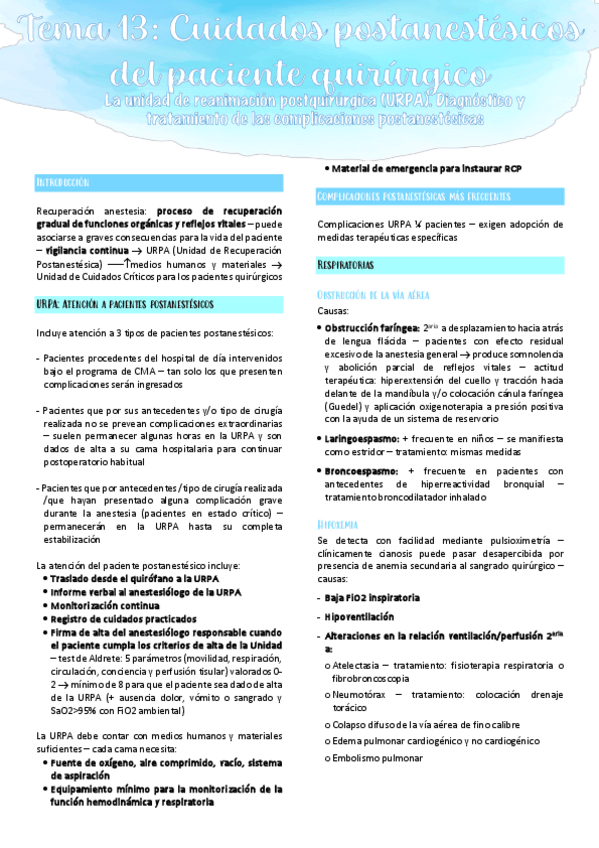 Miniatura del documento Tema-13.pdf