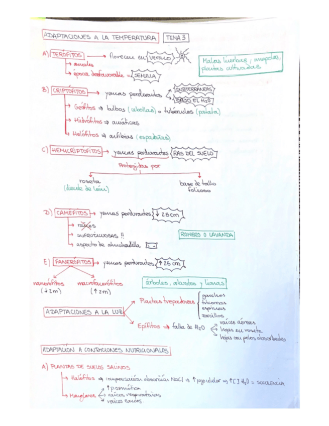 Miniatura del documento RESUMENES-ESQUEMATICOS-TEMAS-345-y-6-ultimo-resumen-ultimo-parcial.pdf